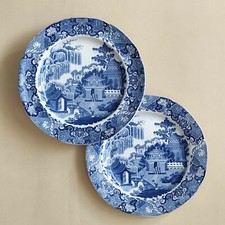 Coppia di antichi piatti