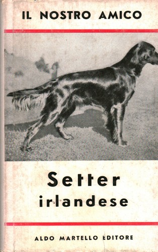 Nostro amico setter - amico,
