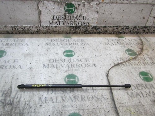 Ammortizzatore cofano - cofano, /