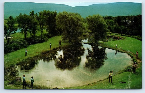 Casting practice orvis fly - casting,