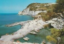 C2 - Cp Cartolina ISOLA DI PONZA Piscine Naturali - Fg Vg 1987
