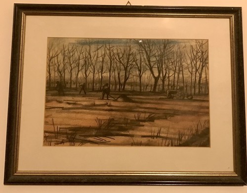 Pino ponti quadro - pino,