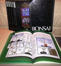 BONSAI & NEWS RIVISTE 6 pz +CONTENITORE ,guide