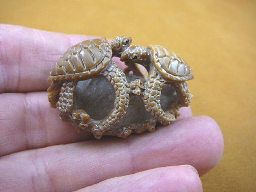 Coppia - (tb-turt-100),