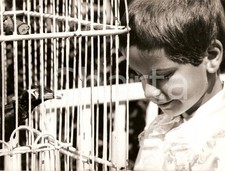 1963 AU COEUR DE LA VIE Oiseau