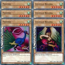 3x PAVONE +3x UCCELLO REGINA