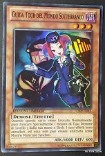 GUIDA TOUR DEL MONDO