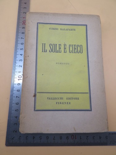 Sole cieco romanzo - il,