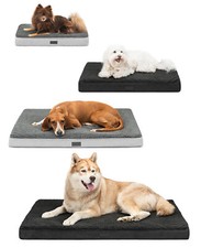 lionto Cuccia ortopedica, per