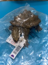 Tartaruga a scatto alligatore