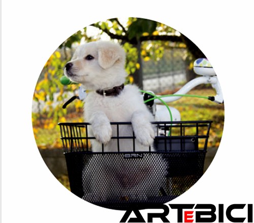 Cesto cestino brn puppy - cesto,