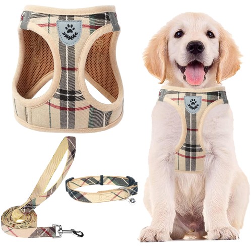 Pupteck set collare - pupteck,