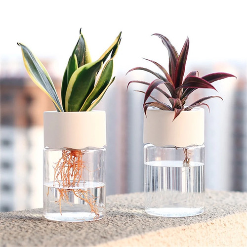 Mini vaso fiori idroponico - da,