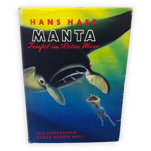 Manta teufel roten meer - teufel, im