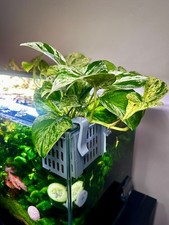 Aquarium Pflanzenkorb zum