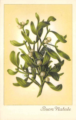 Cartolina buon natale - cartolina,