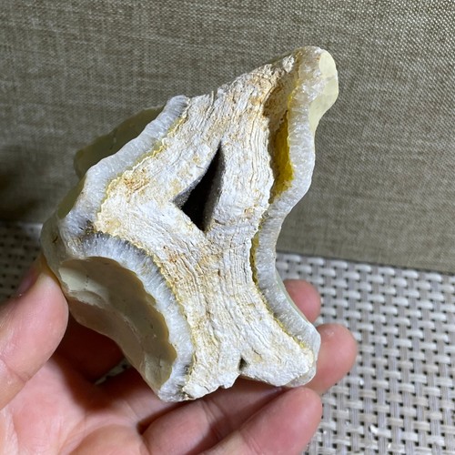 Bonsai suiseki pietra - di,