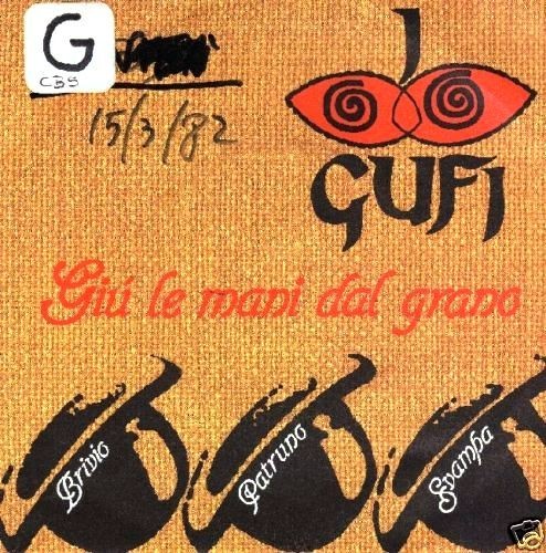 Gufi raro giri - gufi,