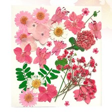  30 Pcs Fiori Pressati Di