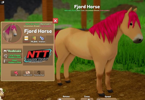 Wild horse islands - wild,