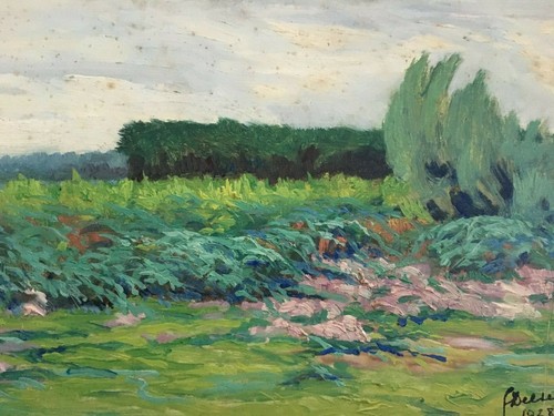 Olio paesaggio naturale - olio, fiori