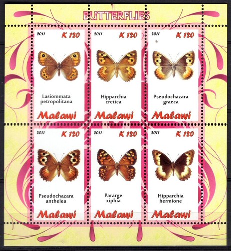Francobolli malawi 2011 foglio - francobolli,