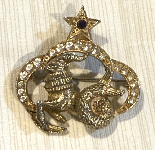 Spilla capricorno designer - spilla, st