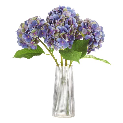 Pezzi fiori ortensia - pezzi,