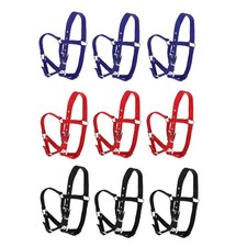 Indumento da equitazione