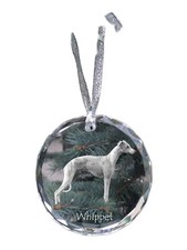 Whippet piccolo inglese - whippet,,