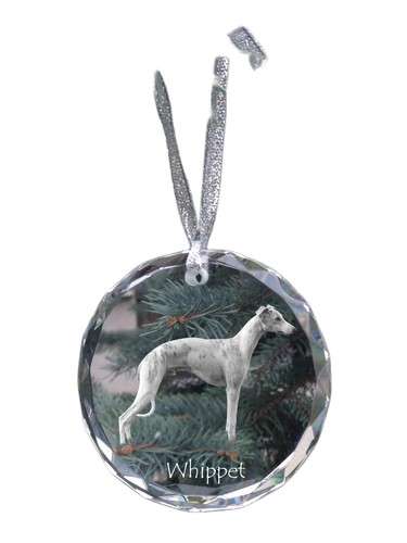 Whippet piccolo inglese - whippet,,