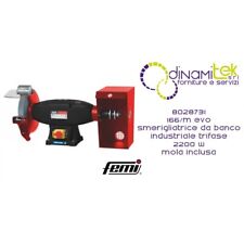 8028731 166/M SMERIGLIATRICE