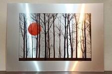 Andrea Fausto Nardi - Alberi e