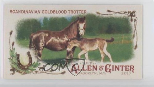 2017 allen ginter horse in - allen,