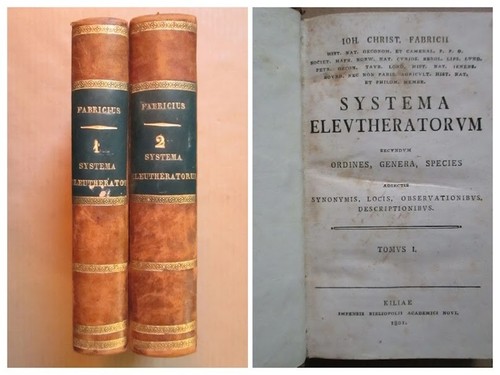 Fabricius systema - :,
