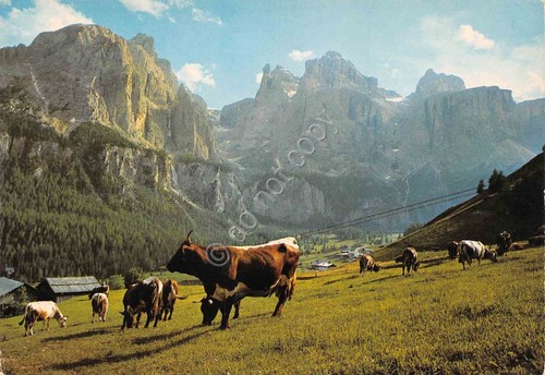 Cartolina alta val - badia,