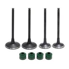 RMZ250 Valvole Aspirazione