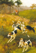 Cartolina retrò HUNTING DOG