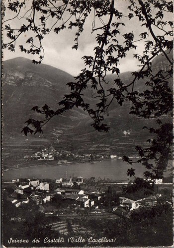 Bergamo spinone dei - spinone, castelli