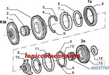 60537787 Ingranaggio Cambio