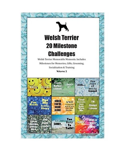 Welsh terrier milestone - welsh,