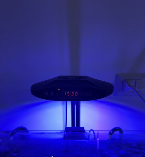 Lampada acquario deebow h6 - lampada,