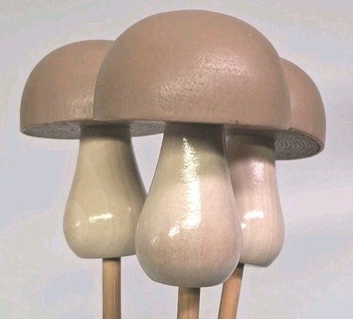 Funghi bastone decorazione - funghi,