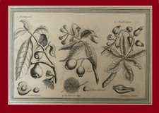 LOTTO 24 STAMPE ANTICHE