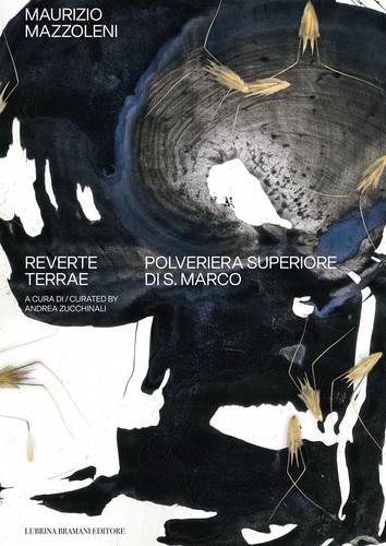 Maurizio mazzoleni reverte - mazzoleni.,