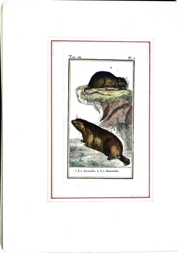 Stampa antiche epoca 800 - antiche,