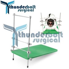 Bavaglio bocca roditore