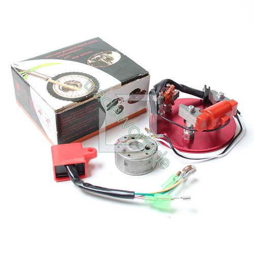 Rotore statore magneto racing