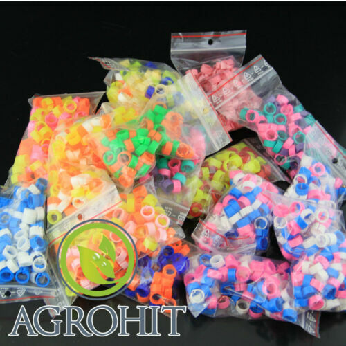 Anelli clip di - anelli, a