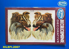 pastore scozzese decalcomanie